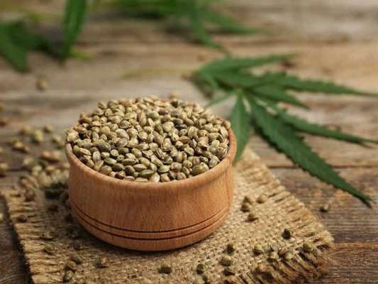 bhang (hemp) seeds